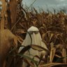 Atheer's profile picture