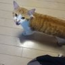 。あにえすb profil fotoğrafı