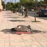 🇲🇦 アブド・アルモネム 🇲🇦 的头像