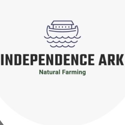 IndependenceArk's profile picture