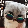 Фото профиля 🐰 💛🦊🪐🐹 muffin ! | free 🇵🇸