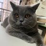 王也's profile picture