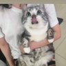 OMGhaha 的头像