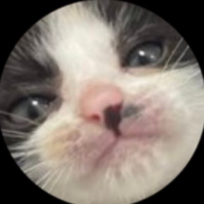 inameimluvim's profile picture