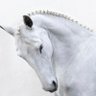 . profil fotoğrafı