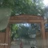 Фото профиля SharmaJi