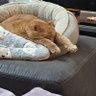 Profilbild von LisaLisa