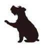 AKPON's profile picture