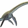 Szyjanozaur profil fotoğrafı