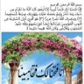 حساب بديلDr. n's profile picture
