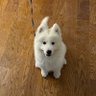 C.c's profile picture