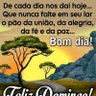 Фото профиля Passo Fundo tchê