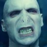 Lord Voldemort's profile picture