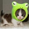 Thuỷ Mộc's profile picture