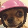 Tobiloba's profile picture