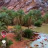 Фото профиля عبدالرحمن
