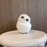 Profilbild von て