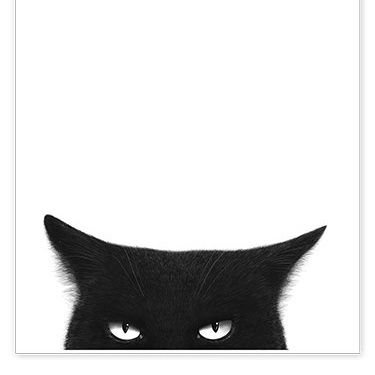 calellenca's profile picture