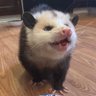 Profilbild von Evan