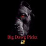Big Dawg Pickz “Mr. 109DLB”'s profile picture