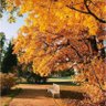 Фото профиля La galibe illallah