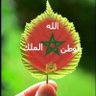Profilbild von abdelmounaim 🇲🇦🇲🇦🇲🇦