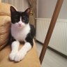 Esra KORKMAZ profil fotoğrafı