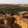سوف الجين profil fotoğrafı