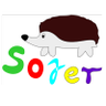 Profilbild von Artur “SojerX” Marciniak