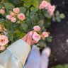 Фото профиля غيداء
