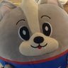じゅんたん profil fotoğrafı