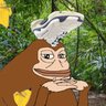 shoemonkey 🍌 的头像