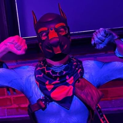 Pup Titus's profile picture
