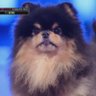 Ashley C⁷ (ꪜ)'s profile picture