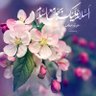 Profilbild von Fatemeh🇮🇷