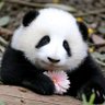 古河's profile picture
