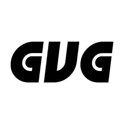 GVG STORE's profile picture