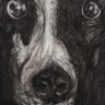 Slavic Mongrel profil fotoğrafı
