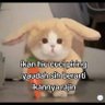 Pampam 的头像