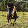 Carlos Mauricio Cruz 的头像