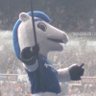 Profilbild von (P) ITFC00769