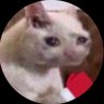 Classy's profile picture