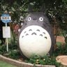 けい's profile picture