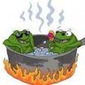 Frog_in_the_pot's profile picture