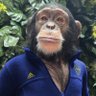 Pedro profil fotoğrafı