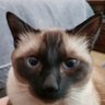 Rickster338's profile picture