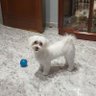 milagros moral raez 的头像