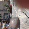 Fayolle✨️ profil fotoğrafı