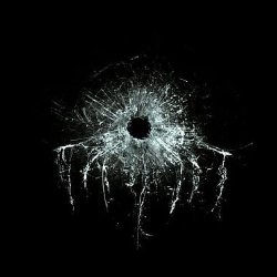 Sam's profile picture