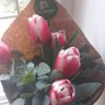 Elnara İbafova's profile picture